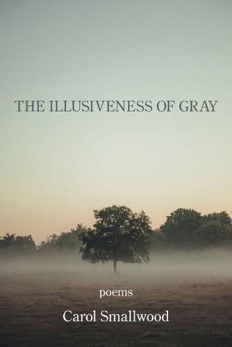 Cover image for The Illusiveness of Gray