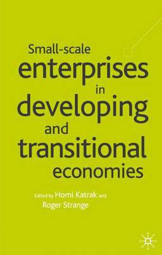 Cover image for Small Scale Enterprises in Developing and Transitional Economies