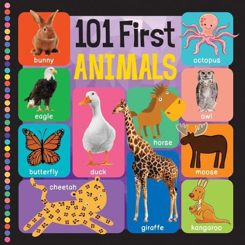 Cover image for 101 First Animals