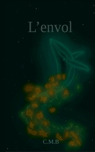 Cover image for L'envol
