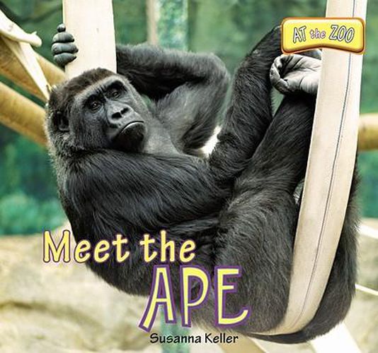 Cover image for Meet the Ape