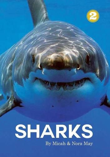 Cover image for Sharks