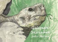 Cover image for Galapagos Sketchbook