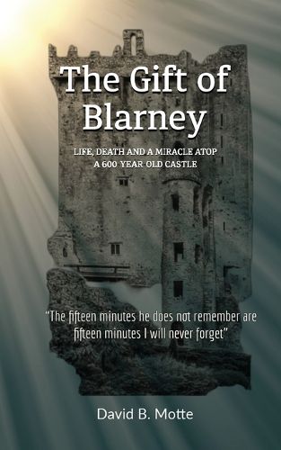 Cover image for The Gift of Blarney