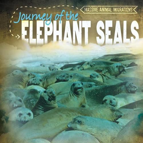 Cover image for Journey of the Elephant Seals