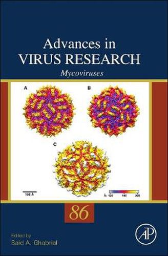 Cover image for Mycoviruses