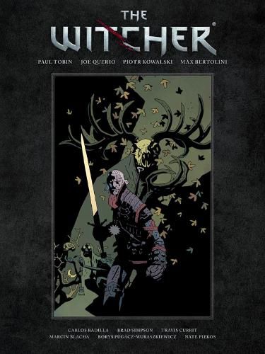 Cover image for The Witcher Library Edition Volume 1