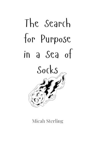 Cover image for The Search for Purpose in a Sea of Socks