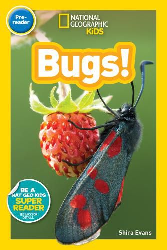 Cover image for National Geographic Kids Readers: Bugs