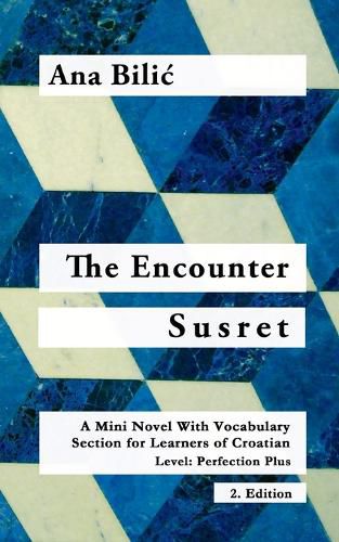 Cover image for The Encounter / Susret