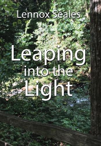 Cover image for Leaping into the Light