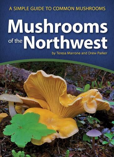 Cover image for Mushrooms of the Northwest: A Simple Guide to Common Mushrooms