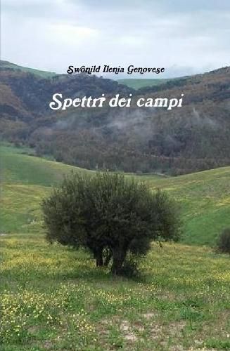 Cover image for Spettri dei campi