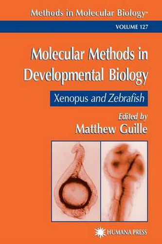 Cover image for Molecular Methods in Developmental Biology: Xenopus and Zebrafish