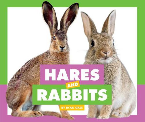 Cover image for Hares and Rabbits