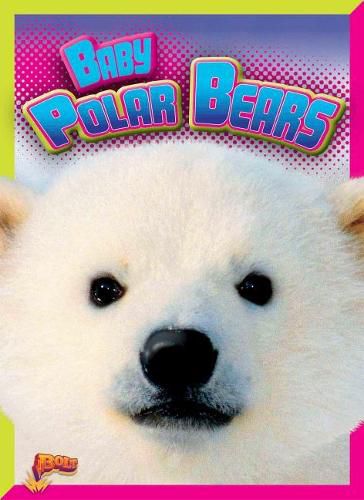 Cover image for Baby Polar Bears