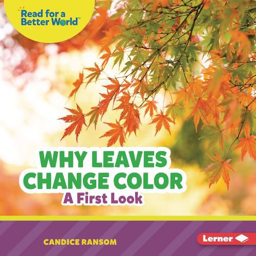 Cover image for Why Leaves Change Color