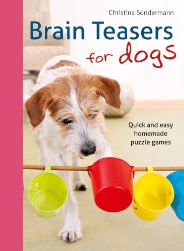 Cover image for Brain teasers for dogs: Quick and easy homemade puzzle games