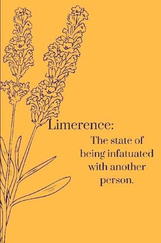 Cover image for Limerence