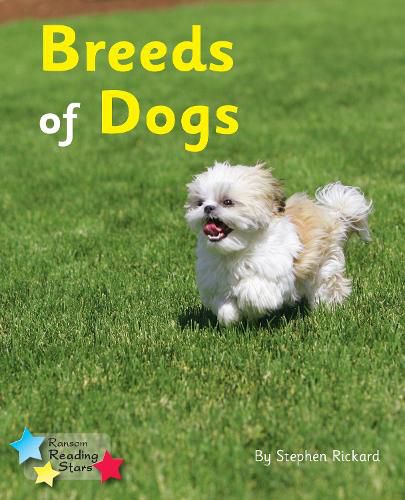 Cover image for Breeds of Dogs