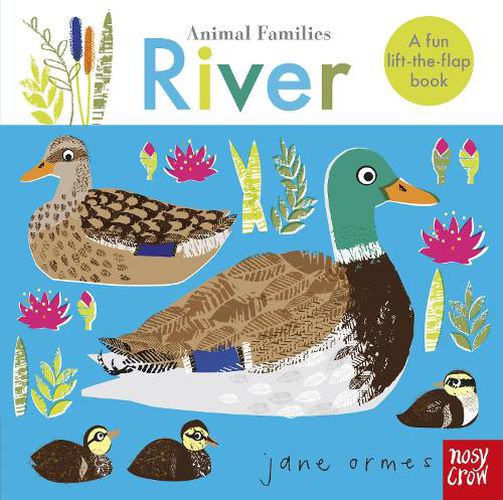 Cover image for Animal Families: River
