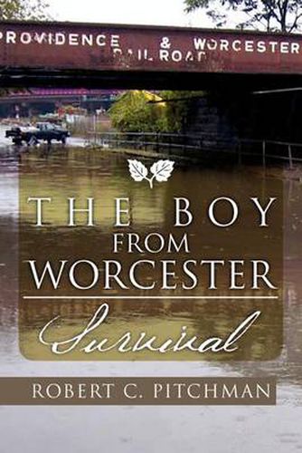 Cover image for The Boy from Worcester: Survival