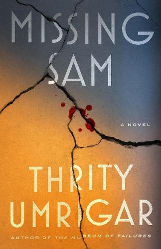 Cover image for Missing Sam