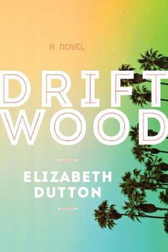 Cover image for Driftwood: A Novel