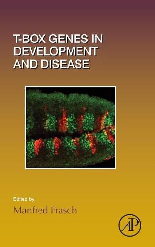 Cover image for T-box Genes in Development and Disease