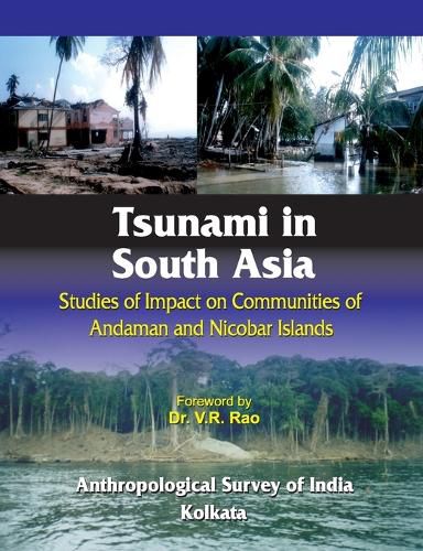 Cover image for Tsunami in South Asia