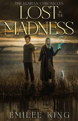 Cover image for Lost in the Madness