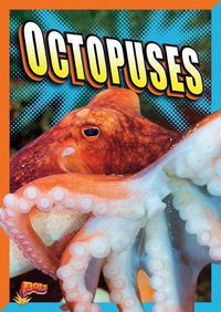 Cover image for Octopuses