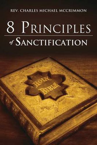 Cover image for 8 Principles of Sanctification