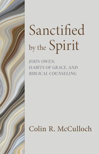 Cover image for Sanctified by the Spirit