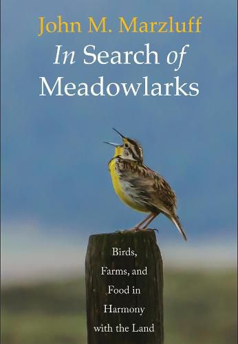 Cover image for In Search of Meadowlarks: Birds, Farms, and Food in Harmony with the Land