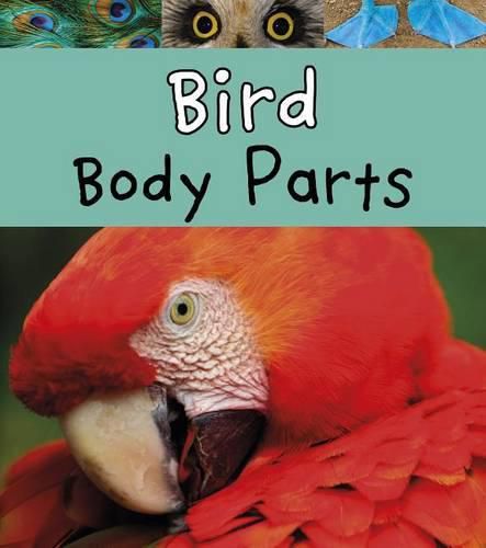 Cover image for Bird Body Parts