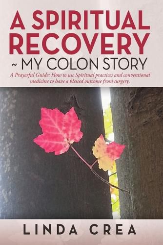 Cover image for A Spiritual Recovery My colon story