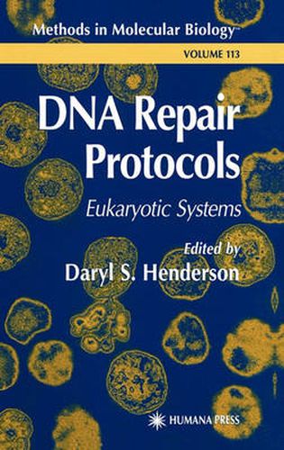 Cover image for DNA Repair Protocols