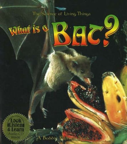 Cover image for What is a Bat?