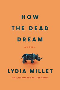 Cover image for How the Dead Dream