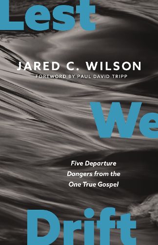 Cover image for Lest We Drift