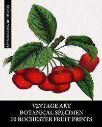 Cover image for Vintage Art: Botanical Specimen: 30 Rochester Fruit Prints: Pomology Ephemera for Framing, Decor and Reference