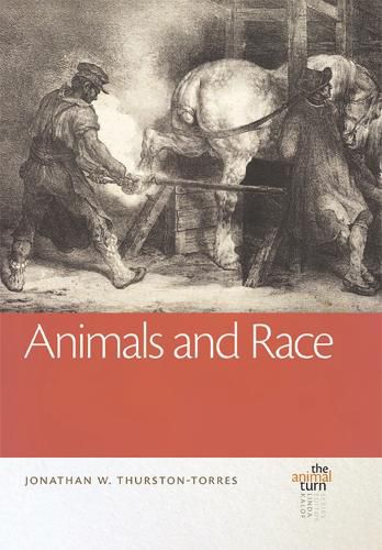 Cover image for Animals and Race