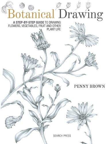 Cover image for Botanical Drawing: A Step-by-Step Guide to Drawing Flowers, Vegetables, Fruit and Other Plant Life