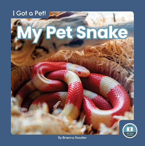 Cover image for I Got a Pet! My Pet Snake