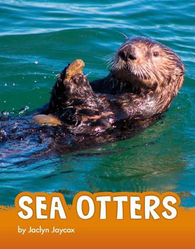 Cover image for Sea Otters