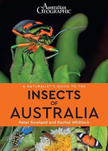 A Naturalist's Guide to the Insects of Australia