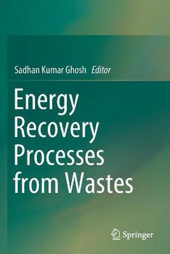 Cover image for Energy Recovery Processes from Wastes