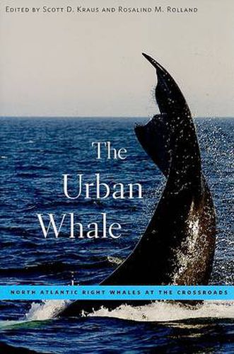 Cover image for The Urban Whale: North Atlantic Right Whales at the Crossroads