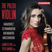 Cover image for The Polish Violin